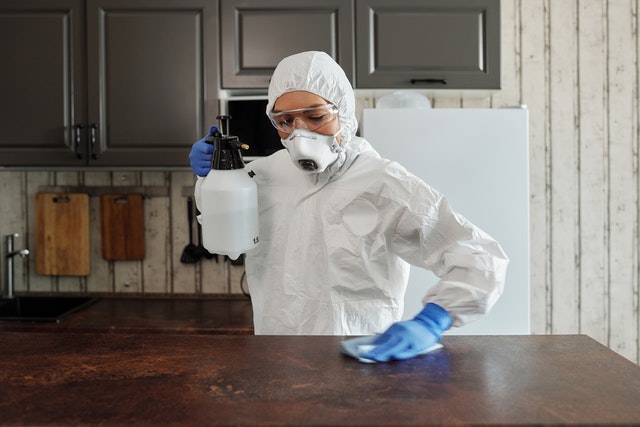 Tips to Care Kitchen Equipment Cleaning